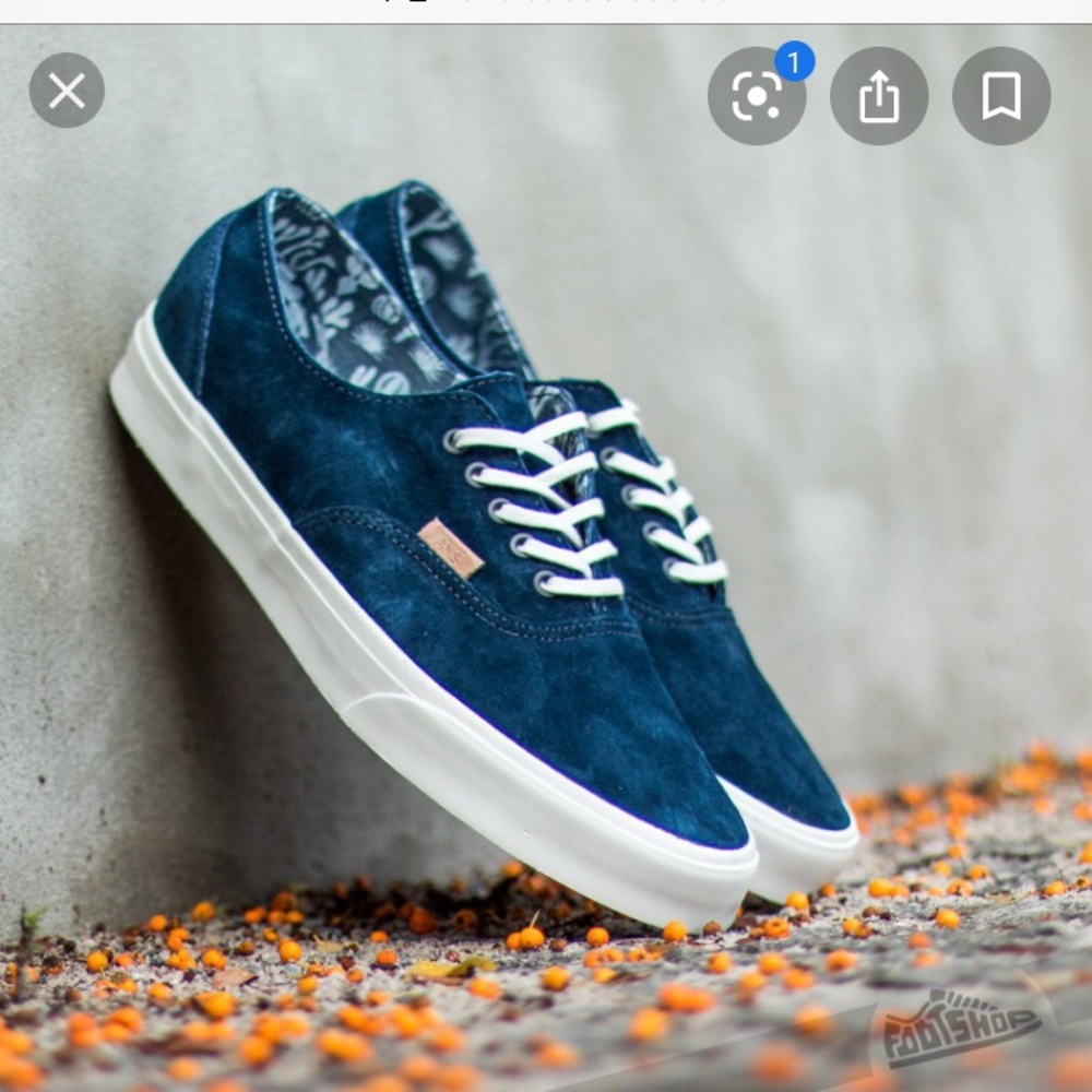 Vans cactus men sneakers